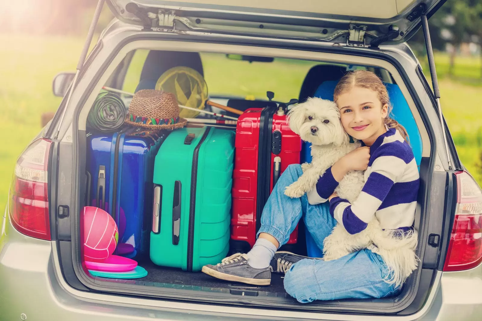 7 Tips for Traveling With Your Dog