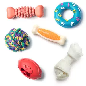 best toys for dogs