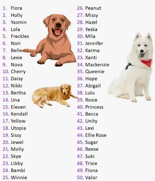 Choosing a Dog’s Name