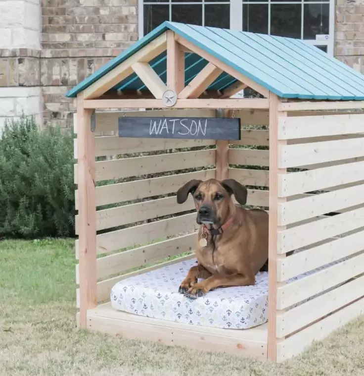 Keep Your Dog Safe Outdoors