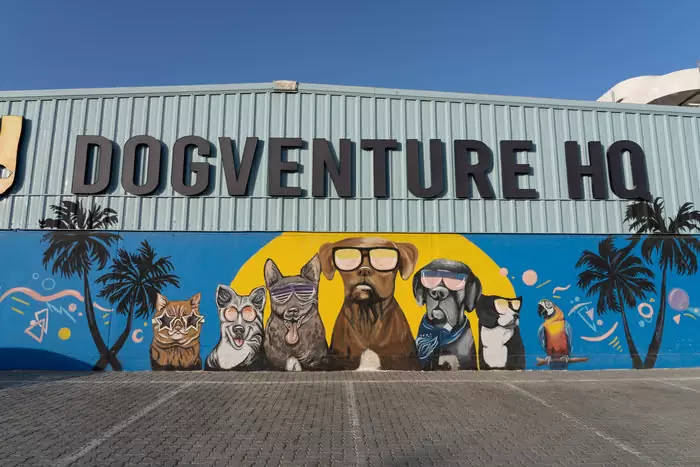 Dog Checklist dogventurehq