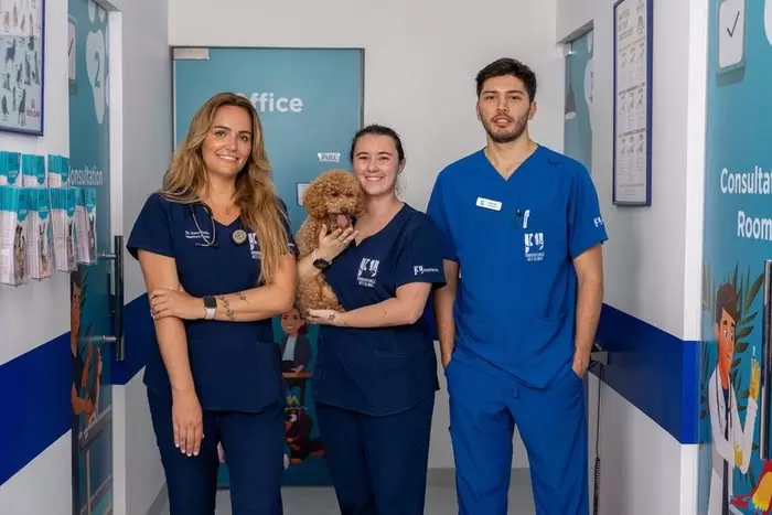 veterinarian at Dobai