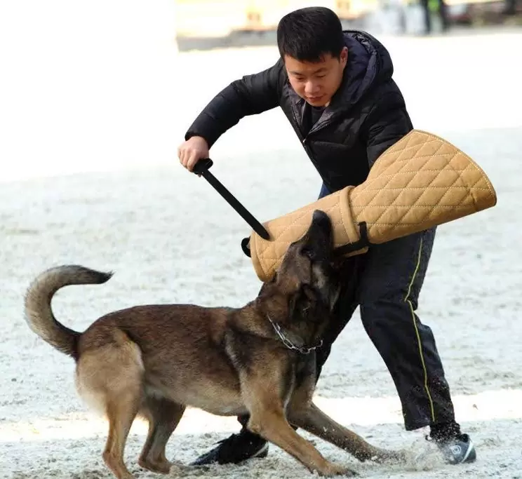 Treating dog aggression