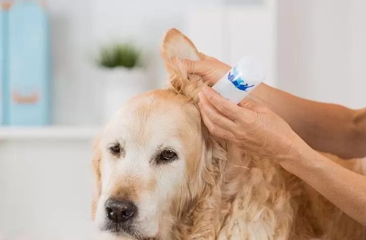 ear cleaning solution