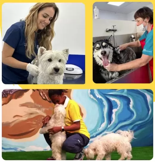 Dogventure HQ