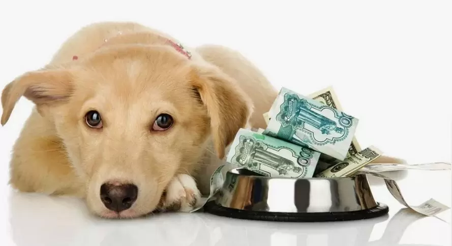 average cost of keeping a dog