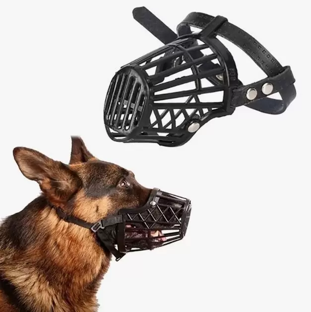 Is it mandatory to use a dog muzzle for dogs?