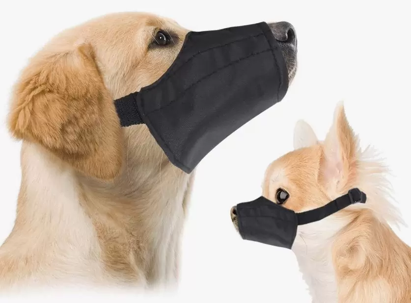 dog muzzle