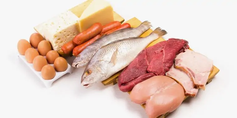best protein for dogs