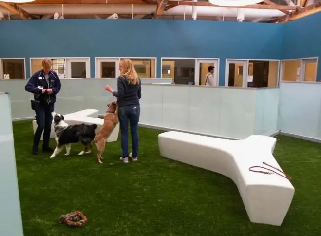 Dogventure HQ Centre, The Ultimate Pet Hub