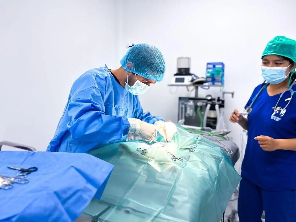 Specialized care before dog surgery
