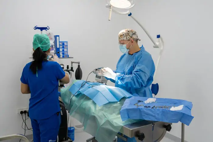 Spaying dogs in dogventurehq with professional surgeons